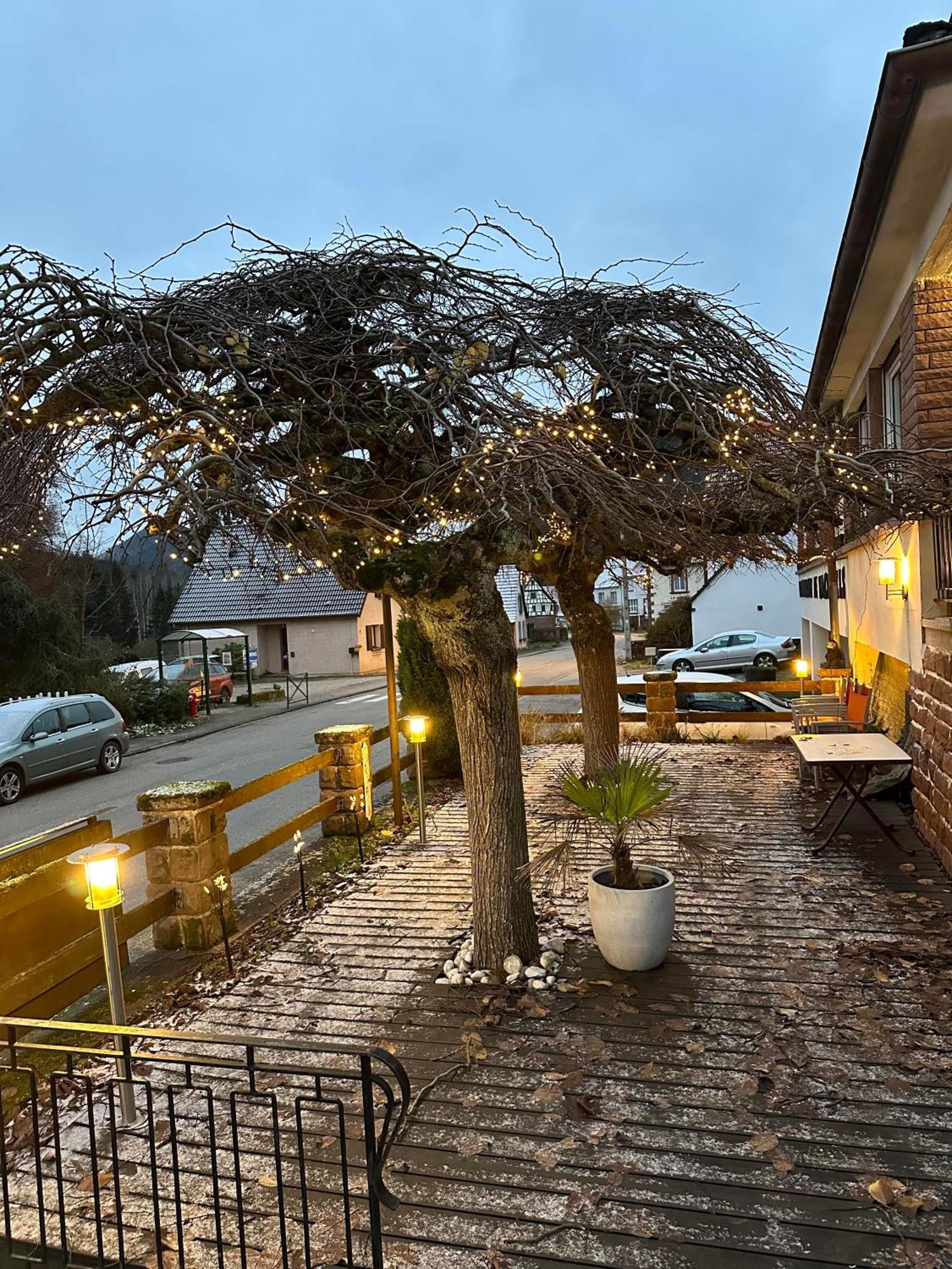 Au Wachtfels Bed & Breakfast Obersteinbach Exterior photo